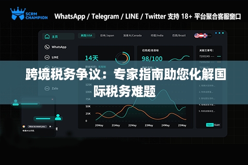  跨境税务争议：专家指南助您化解国际税务难题