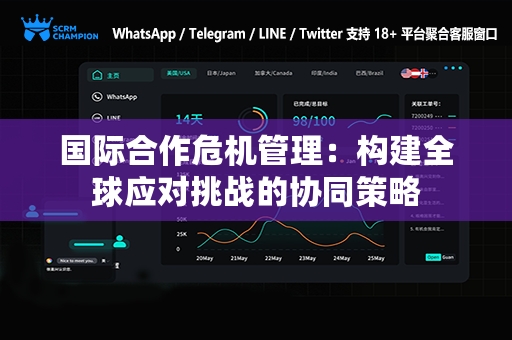 国际合作危机管理：构建全球应对挑战的协同策略