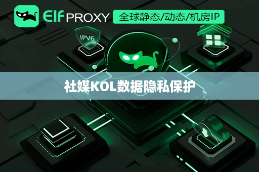 社媒KOL数据隐私保护