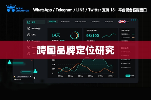 跨国品牌定位研究