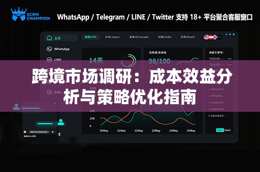  跨境市场调研：成本效益分析与策略优化指南