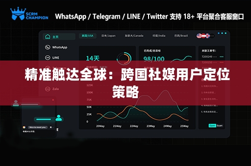  精准触达全球：跨国社媒用户定位策略