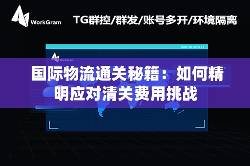  国际物流通关秘籍：如何精明应对清关费用挑战