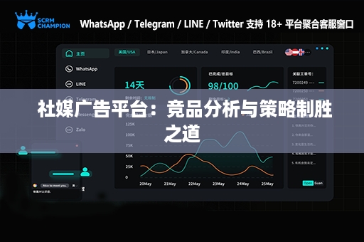  社媒广告平台：竞品分析与策略制胜之道