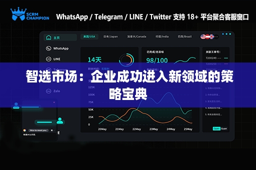  智选市场：企业成功进入新领域的策略宝典