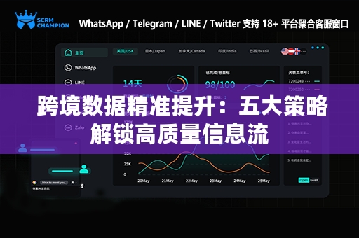  跨境数据精准提升：五大策略解锁高质量信息流