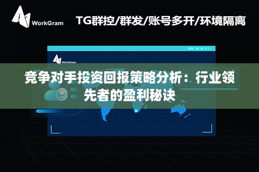 竞争对手投资回报策略分析：行业领先者的盈利秘诀