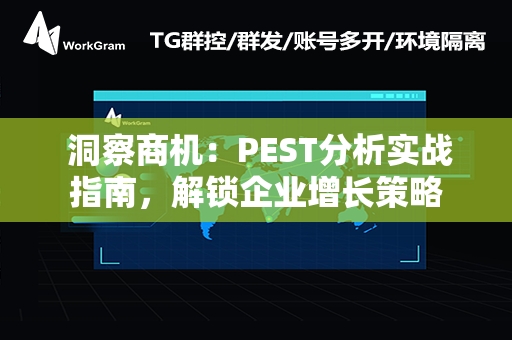  洞察商机：PEST分析实战指南，解锁企业增长策略