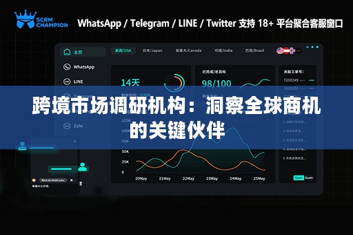 跨境市场调研机构：洞察全球商机的关键伙伴