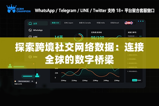 探索跨境社交网络数据：连接全球的数字桥梁