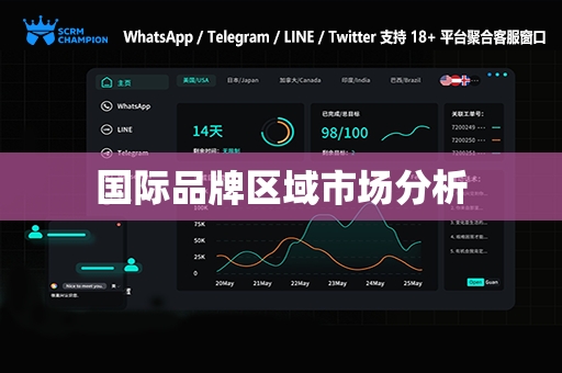 国际品牌区域市场分析