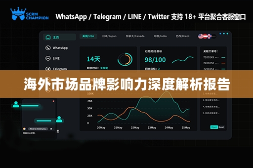海外市场品牌影响力深度解析报告