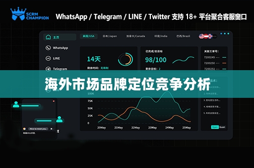 海外市场品牌定位竞争分析
