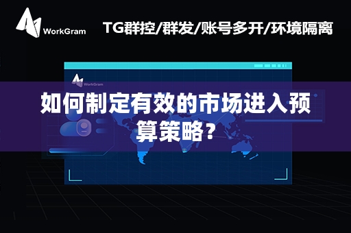 如何制定有效的市场进入预算策略？