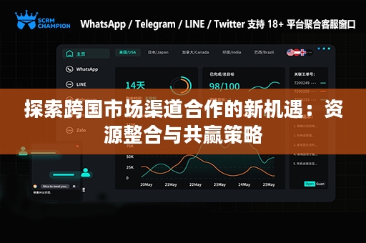 探索跨国市场渠道合作的新机遇：资源整合与共赢策略
