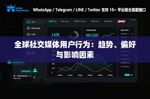 全球社交媒体用户行为：趋势、偏好与影响因素