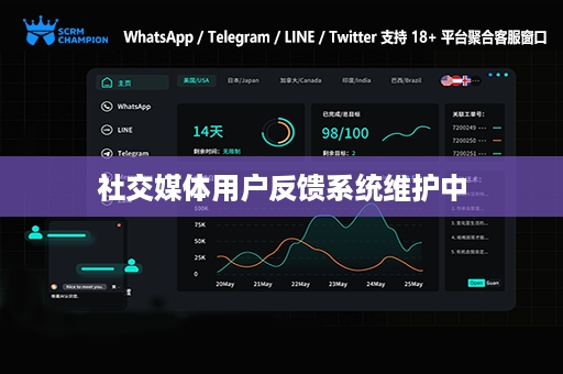 社交媒体用户反馈系统维护中