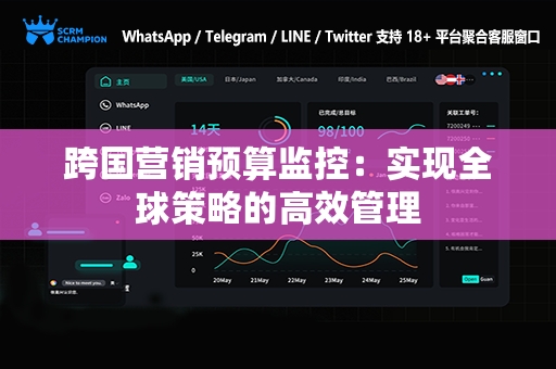 跨国营销预算监控：实现全球策略的高效管理