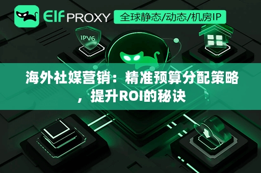  海外社媒营销：精准预算分配策略，提升ROI的秘诀