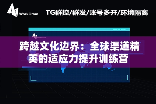  跨越文化边界：全球渠道精英的适应力提升训练营