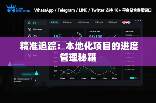  精准追踪：本地化项目的进度管理秘籍