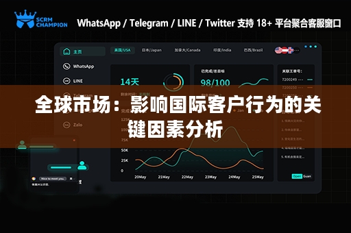  全球市场：影响国际客户行为的关键因素分析