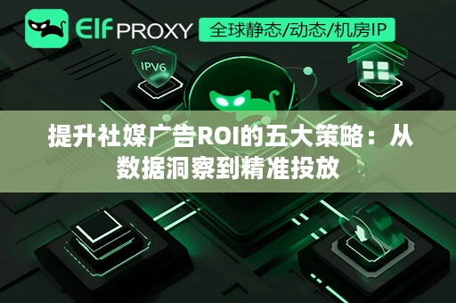  提升社媒广告ROI的五大策略：从数据洞察到精准投放