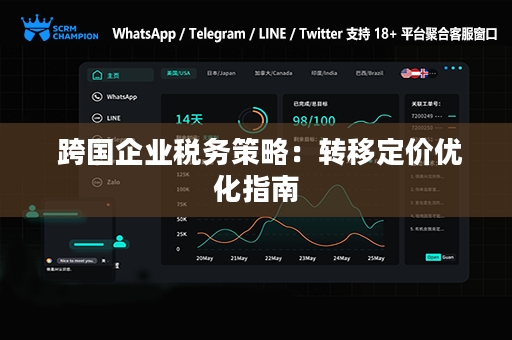  跨国企业税务策略：转移定价优化指南