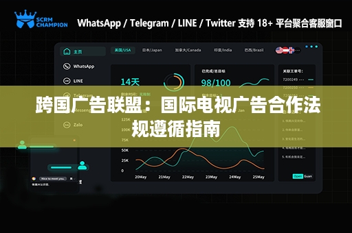  跨国广告联盟：国际电视广告合作法规遵循指南