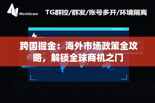  跨国掘金：海外市场政策全攻略，解锁全球商机之门