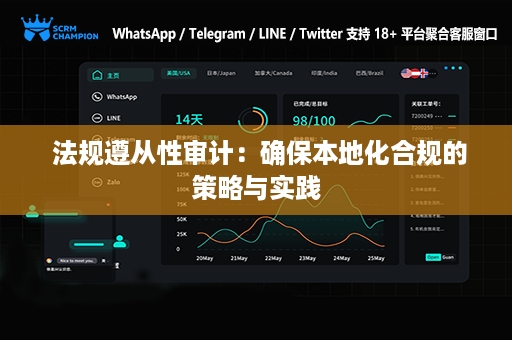 法规遵从性审计：确保本地化合规的策略与实践