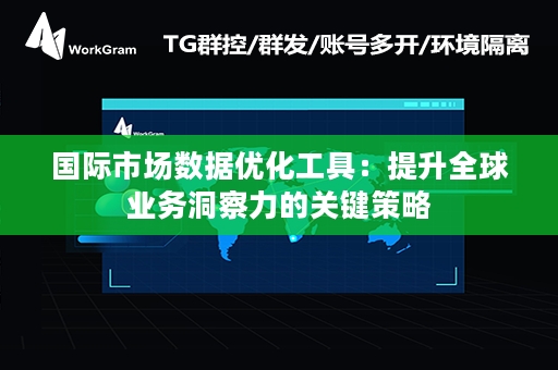 国际市场数据优化工具：提升全球业务洞察力的关键策略