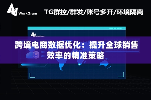  跨境电商数据优化：提升全球销售效率的精准策略