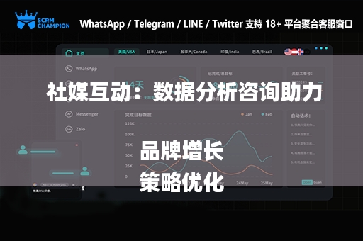  社媒互动：数据分析咨询助力品牌增长
策略优化