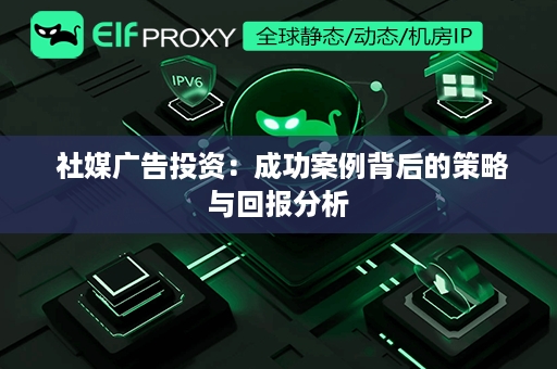  社媒广告投资：成功案例背后的策略与回报分析