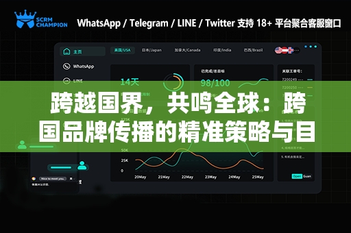  跨越国界，共鸣全球：跨国品牌传播的精准策略与目标实现