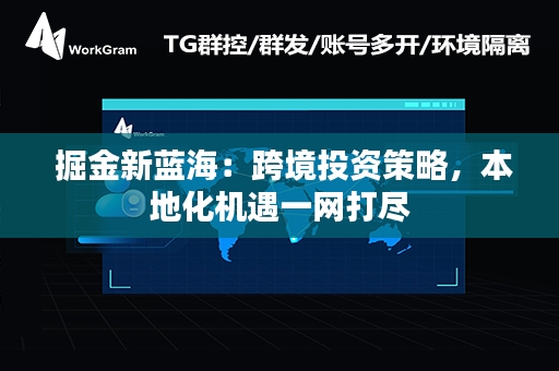  掘金新蓝海：跨境投资策略，本地化机遇一网打尽