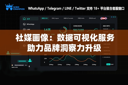  社媒画像：数据可视化服务助力品牌洞察力升级