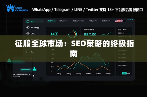  征服全球市场：SEO策略的终极指南