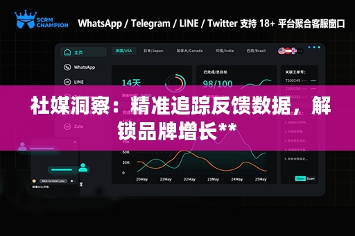  社媒洞察：精准追踪反馈数据，解锁品牌增长**