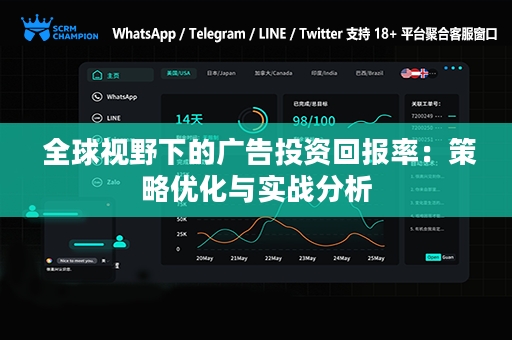  全球视野下的广告投资回报率：策略优化与实战分析