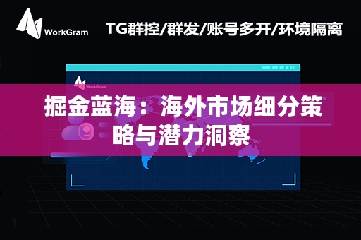  掘金蓝海：海外市场细分策略与潜力洞察