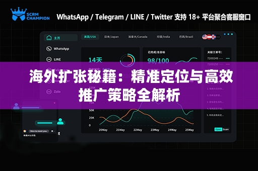  海外扩张秘籍：精准定位与高效推广策略全解析