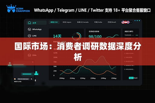 国际市场：消费者调研数据深度分析