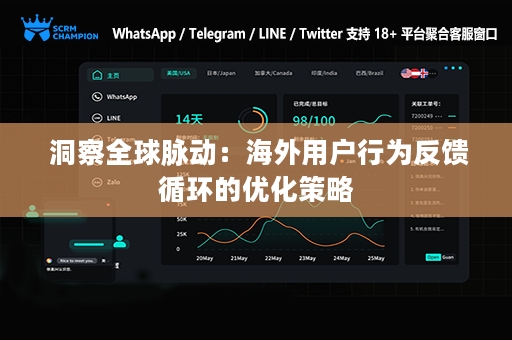  洞察全球脉动：海外用户行为反馈循环的优化策略