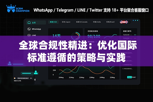  全球合规性精进：优化国际标准遵循的策略与实践