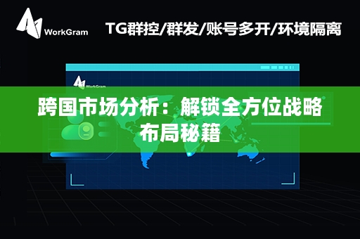 跨国市场分析：解锁全方位战略布局秘籍