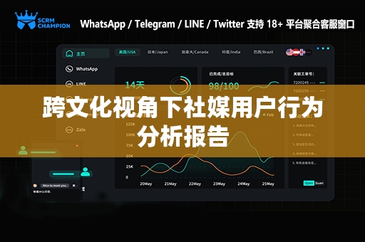 跨文化视角下社媒用户行为分析报告