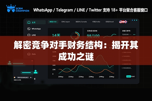 解密竞争对手财务结构：揭开其成功之谜