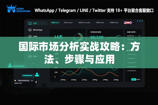 国际市场分析实战攻略：方法、步骤与应用